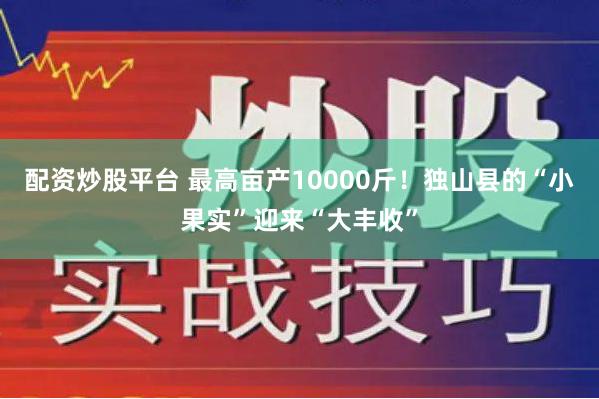 配资炒股平台 最高亩产10000斤！独山县的“小果实”迎来“大丰收”