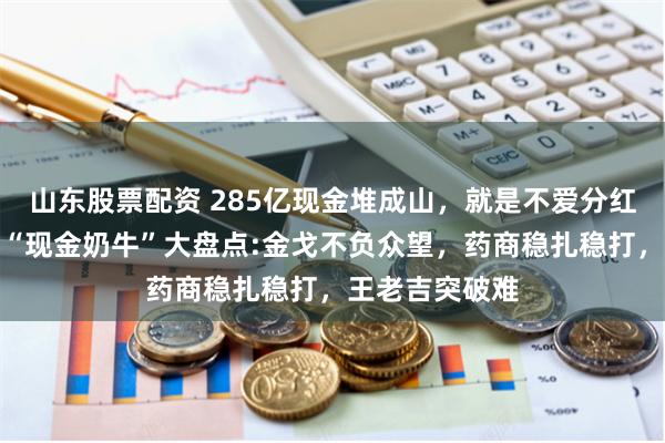 山东股票配资 285亿现金堆成山，就是不爱分红！白云山三大“现金奶牛”大盘点:金戈不负众望，药商稳扎稳打，王老吉突破难