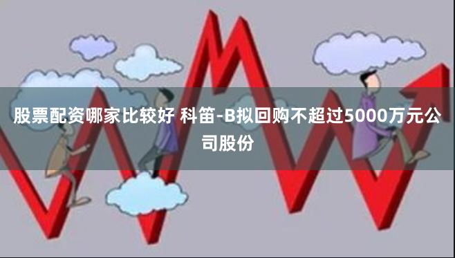 股票配资哪家比较好 科笛-B拟回购不超过5000万元公司股份